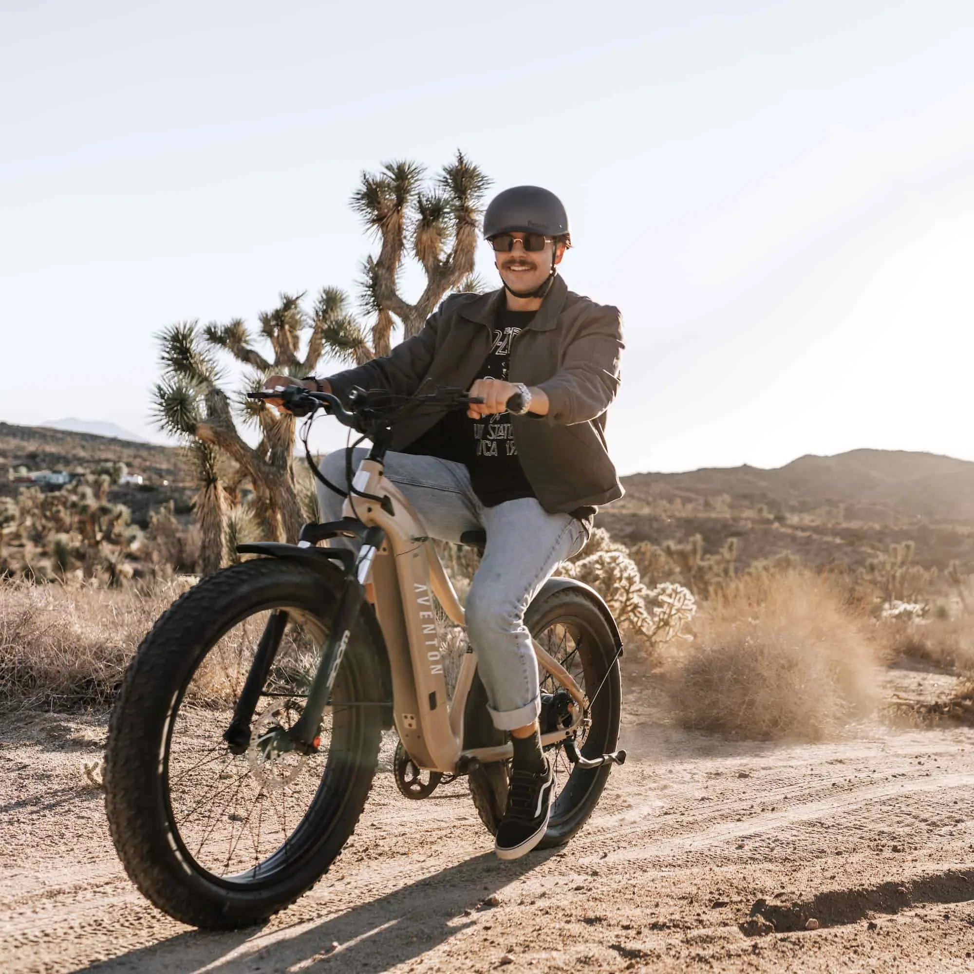 Aventon Aventure Ebike